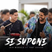 Se Supone (feat. Tony Succar) artwork