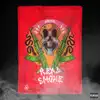 Real Smoke - Single album lyrics, reviews, download