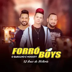 12 Anos de História - Forró Boys