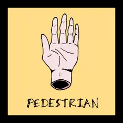 Pedestrian - Pedestrian