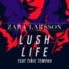 Zara Larsson - Lush Life (feat. Tinie Tempah)