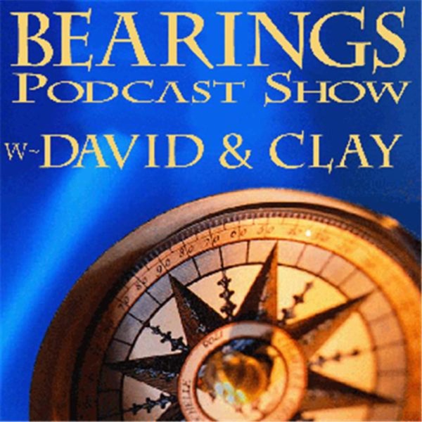 Bearings cover