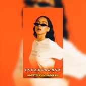 Escandalosa (feat. Dú Moreno) artwork