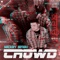 Crowd - Mickey Singh lyrics