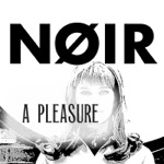 NOIR (US) - A Pleasure to Burn (Seeming Remix)