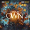 On My Own (feat. Cardiff Brothers) - Robbo Brilliant lyrics