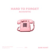 Hard To Forget (Acoustic) artwork