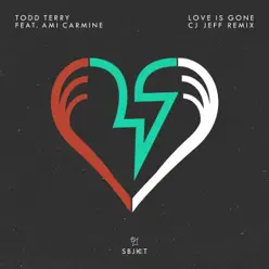Love Is Gone (CJ Jeff Remix) [feat. Ami Carmine] [Remixes] - Single - Todd Terry