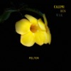 Pelter - Single