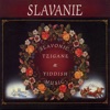 Slavanie: Slavonic, Tzigane & Yiddish Music artwork