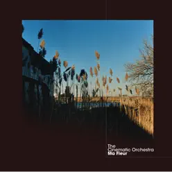 Talking About Freedom - Single - The Cinematic Orchestra