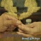 Bonzai Green (feat. Dj Space) - Young Wonder lyrics