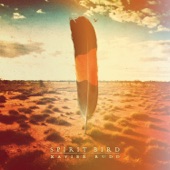 Xavier Rudd - Follow the Sun