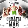 A La Orillita Del Mar album lyrics, reviews, download