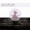 Pete Bellis & Tommy - Forever (Original Mix)