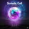 Samu L - Somatic Cell lyrics