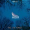 Feel the Forest - Hisia lyrics