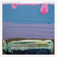 Ryley Walker & Charles Rumback - Little Common Twist artwork