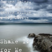 Shake It for Me artwork