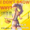 I Don't Know Why (Future Funk Mode) - Single album lyrics, reviews, download