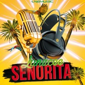 Senorita (Ste Ingham Extended Mix) artwork