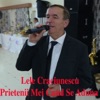 Lele Craciunescu - Prietenii Mei Cand Se Aduna