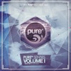 Pure* Senses - Selected Soulfood, Vol. 1, 2013