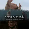 Volverá (feat. Daviles de Novelda) - Single album lyrics, reviews, download