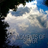 Sarah Levecque - Moments of Silver