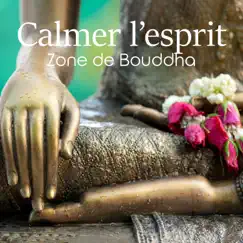 Calmer l’esprit: Zone de Bouddha, Musique de méditation, Jardin japonais, Exercices respiratoires by Ensemble de Musique Zen Relaxante & Zen Méditation Ambiance album reviews, ratings, credits