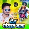 Deh Gorail Jata - Golu Gold & Antra Singh Priyanka lyrics