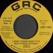 I Don't Know What It Is, But It Sure Is Funky - Single