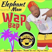 Wap Bap (feat. Massive B) artwork