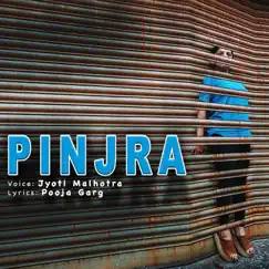 Pinjra Song Lyrics
