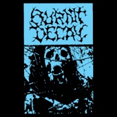 Burnt Decay - Rotten Corpse of Humanity