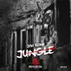 Stream & download Jungle - Single