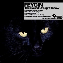 Feygin - Lonesome Stranger (Markus Homm Remix)