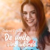 De Unde Vine Iubirea - Single