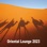 Oriental Lounge 2023 - The Best Chillout Mix of Deep House, Ethnic House & Organic House Music