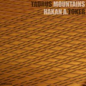 Taurus Mountains artwork