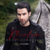 Khalse (Remix) - Single