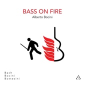 Bass on Fire artwork