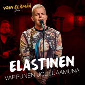 Varpunen jouluaamuna (Vain elämää joulu) artwork