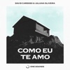 Como Eu Te Amo - Single