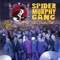 Major Tom - Spider Murphy Gang & Peter Schilling lyrics