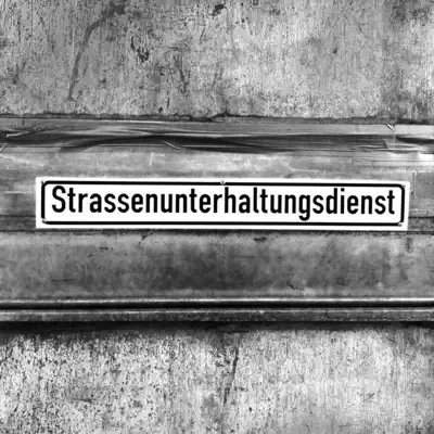 Die Wahrheit - Single - Xavier Naidoo