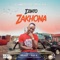 Izinto Zakhona (feat. Beast & Kid X) artwork