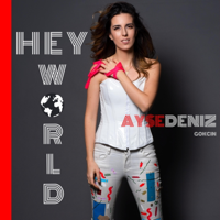Aysedeniz Gokcin