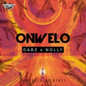Onwelo (feat. Nolly) artwork