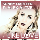 Like Love (Extended Mix) artwork